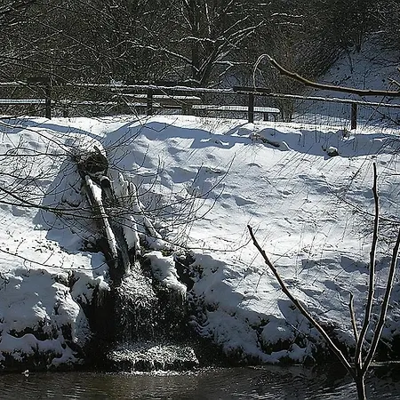Haus 2 - Typ C Resort Schönecken