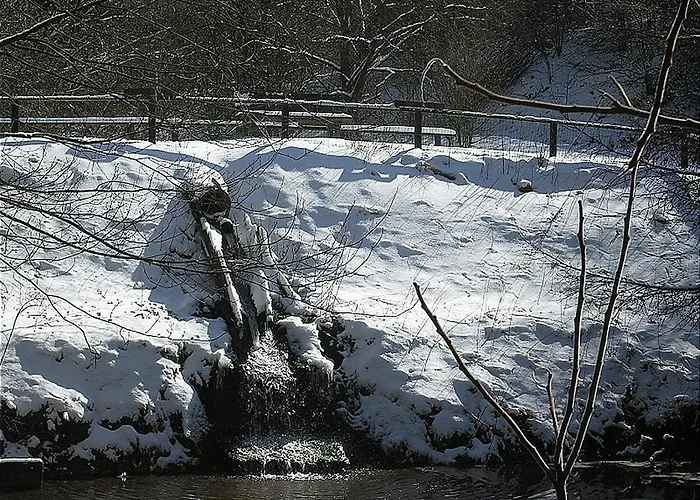 Haus 2 - Typ C Resort Schönecken