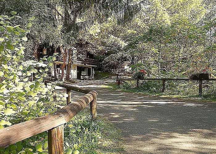Haus 2 - Typ C Schönecken